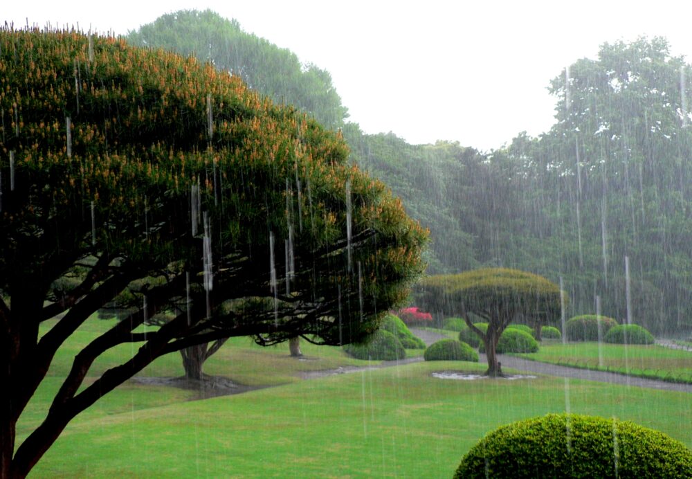 雨のゴルフコース