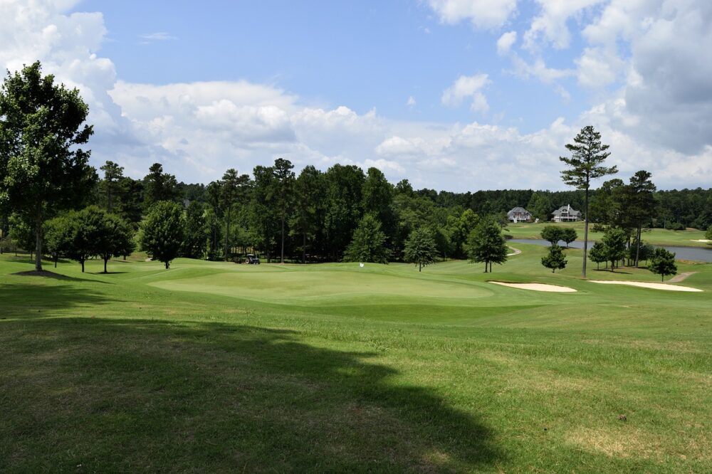 Golf-course-and-shade-of-trees