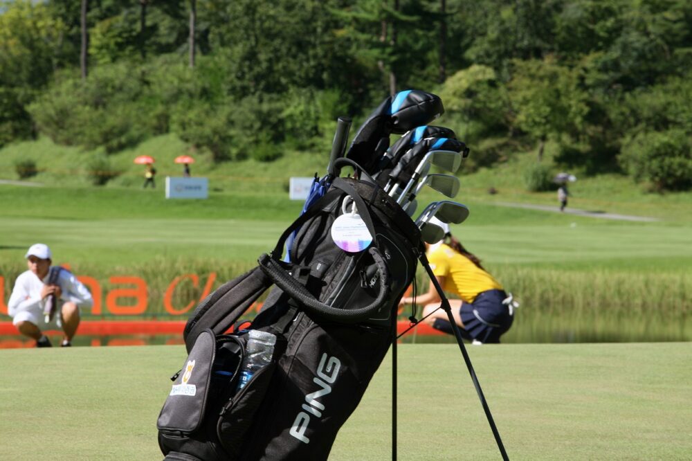 New-caddy-bag-and-new-golf-clubs