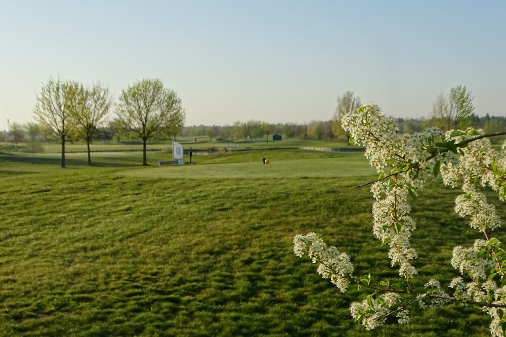 blossoms-golf-course