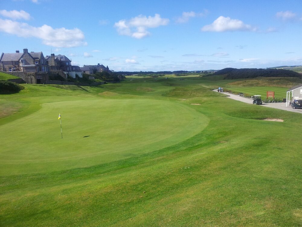 blue-sky-and-wide-green