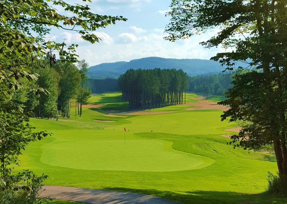 golf-course-in-the-forest