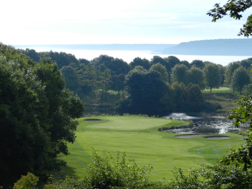 golf-course-in-the-forest