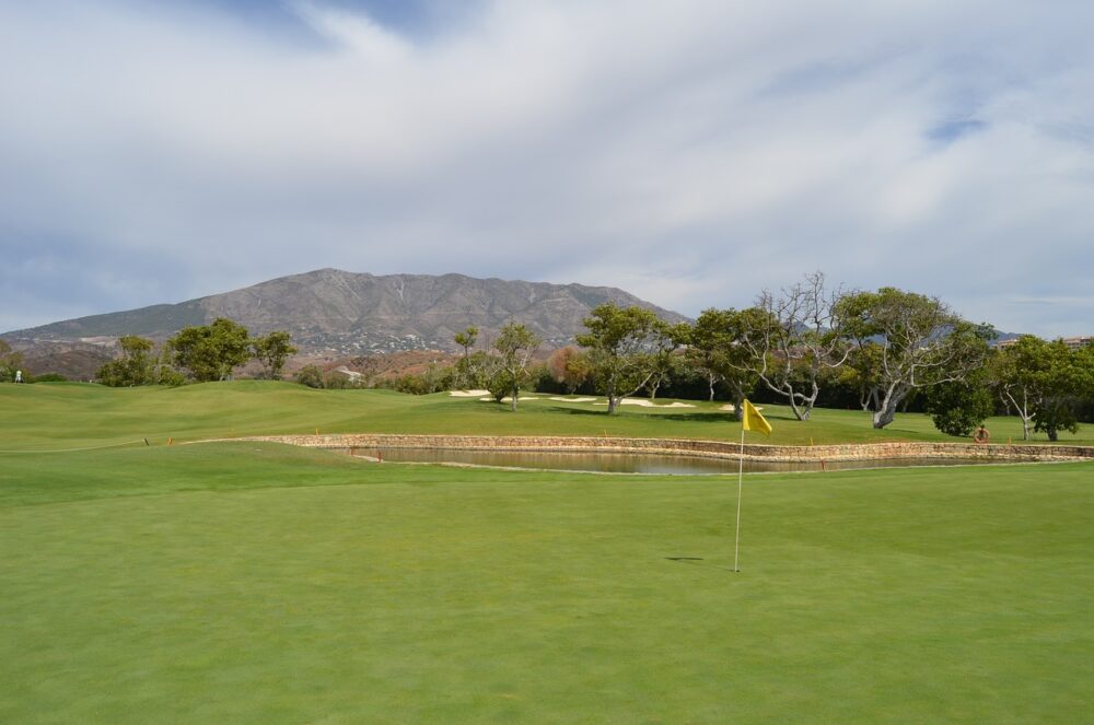 green-with-mountains-visible-in-the-background